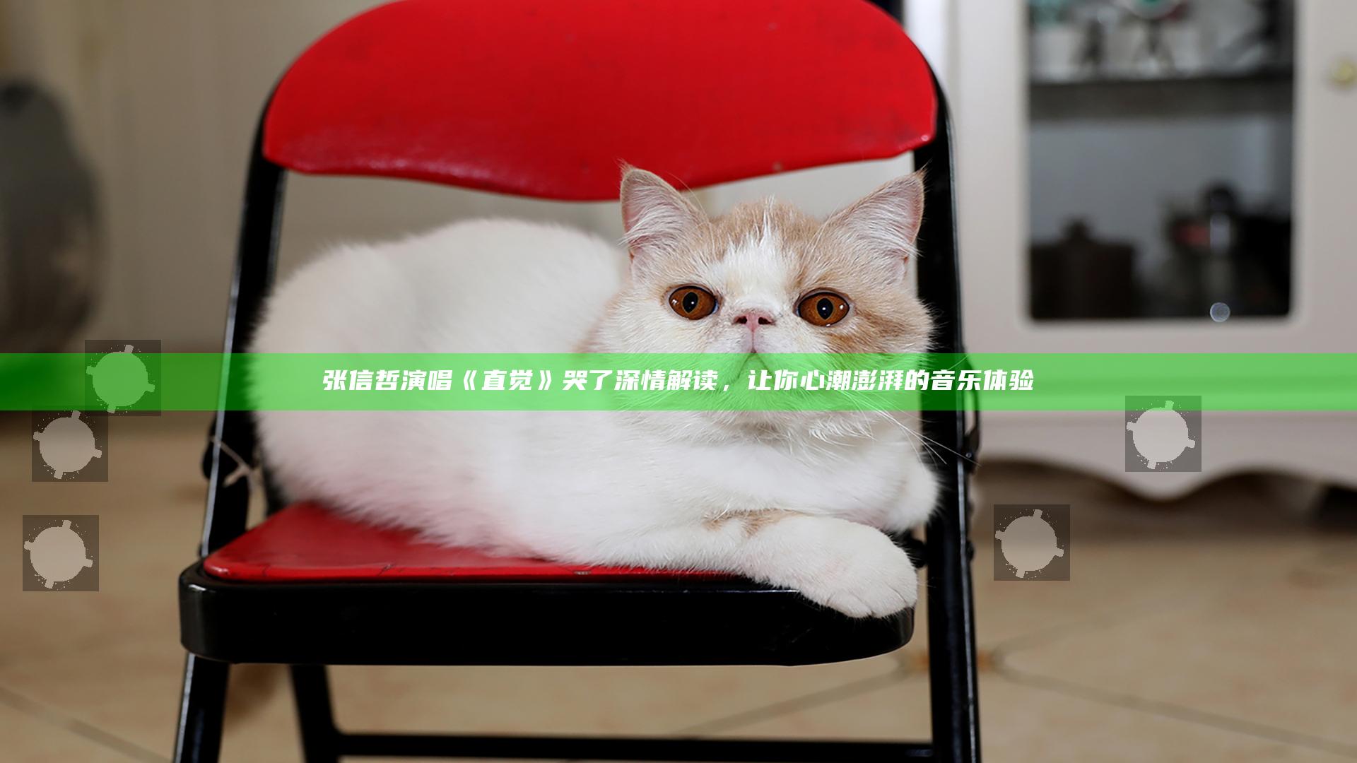 张信哲演唱《直觉》哭了深情解读，让你心潮澎湃的音乐体验