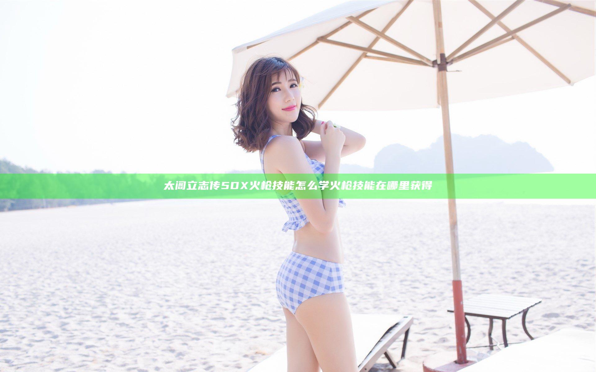 太阁立志传5DX火枪技能怎么学 火枪技能在哪里获得