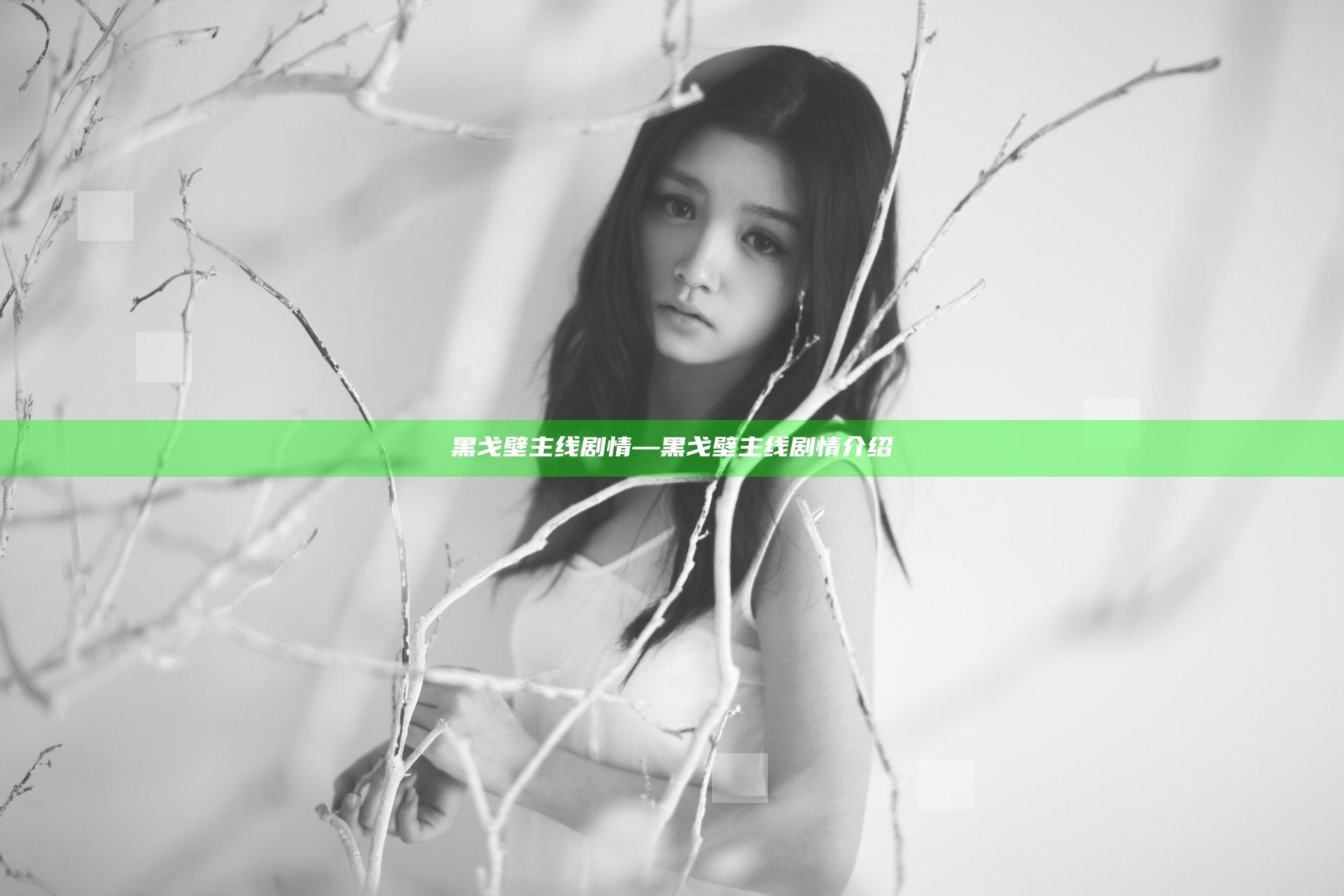黑戈壁 主线 剧情—黑戈壁 主线 剧情介绍