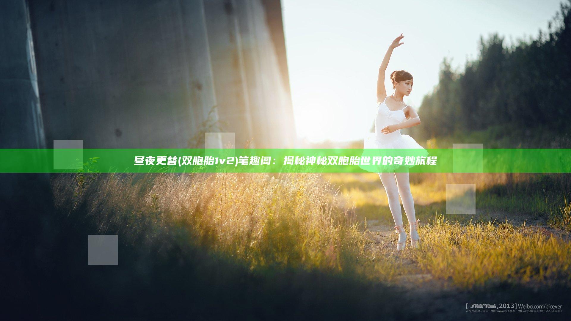昼夜更替(双胞胎 1v2)笔趣阁：揭秘神秘双胞胎世界的奇妙旅程
